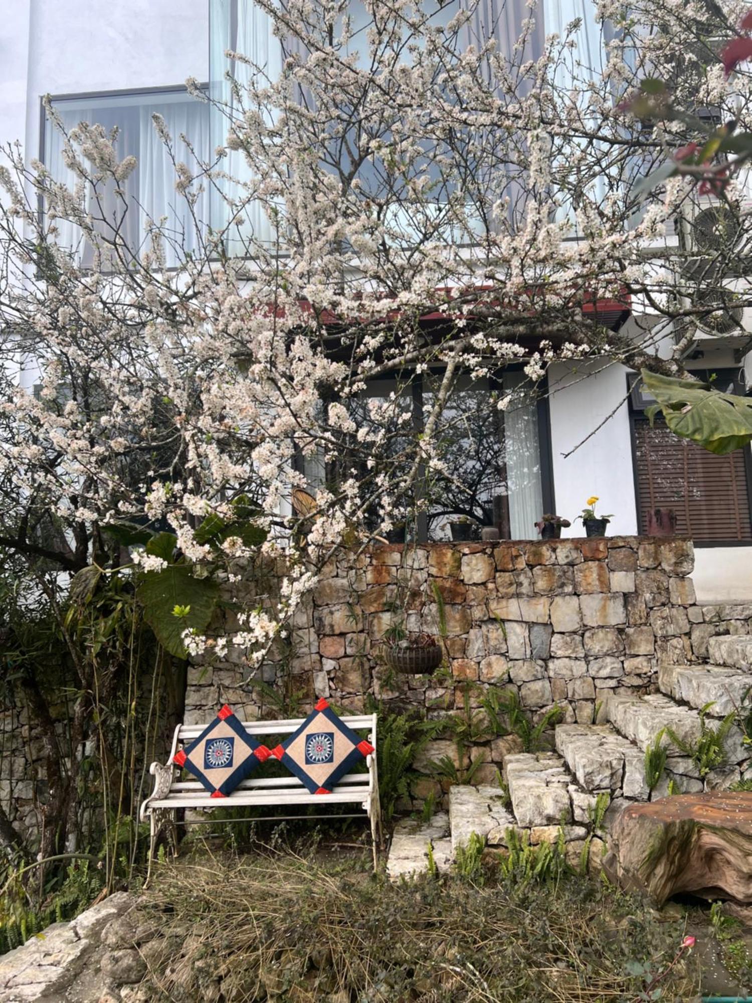 Green Villa Sapa 외부 사진